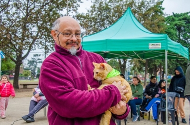LA MUNICIPALIDAD ORGANIZA UNA JORNADA MASIVA DE ESTERILIZACIÓN DE GATOS Y GATAS