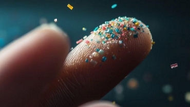 Alimentos con mayor presencia de microplásticos