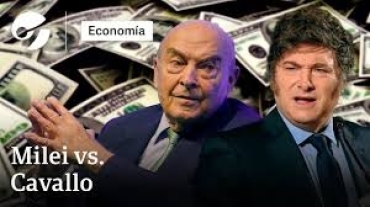 Cavallo: "Hay que juntar reservas antes de que el dólar toque el piso"