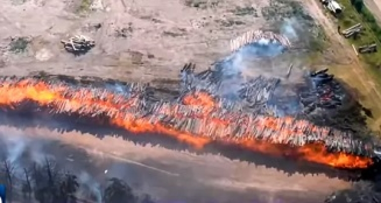 Se reactivó el incendio en el monte de eucaliptos de la Celulosa