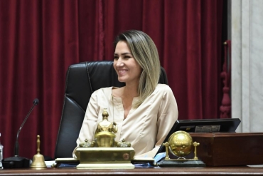 La senadora radical Carolina Losada votó de vuelta junto a La Libertad Avanza