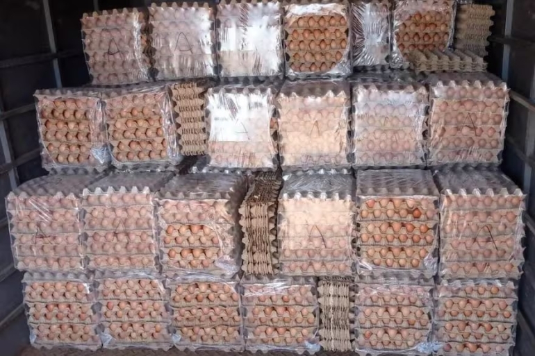 Todos los días llegan hasta 550.000 huevos de contrabando desde Bolivia, Paraguay y Brasil