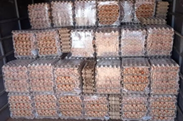 Todos los días llegan hasta 550.000 huevos de contrabando desde Bolivia, Paraguay y Brasil