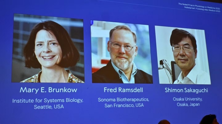 Premio Nobel de Medicina 2025 para tres especialistas en el sistema inmunológico