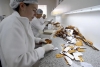 Laboratorios estadounidenses amagan con dejar el pa&iacute;s si aplican cepo al ingreso de medicamentos