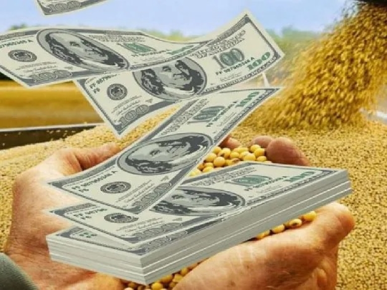 Agroexportadores liquidaron u$s3.706 millones en junio antes de la suba de retenciones