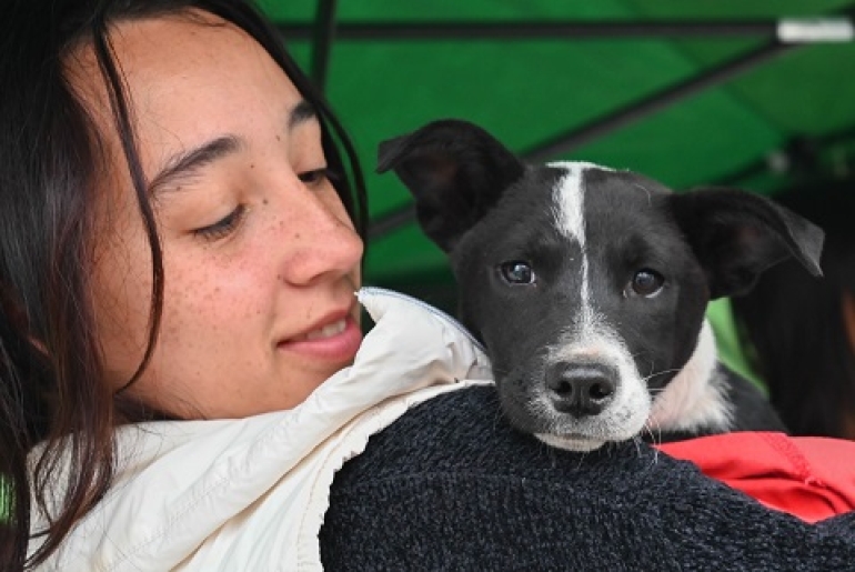 LA MUNICIPALIDAD ORGANIZA UNA JORNADA MASIVA DE VACUNACIÓN Y DESPARASITACIÓN DE MASCOTAS