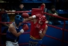 EL PARQUE REGIONAL DE VILLA GOBERNADOR G&Aacute;LVEZ SER&Aacute; SEDE DE UN TORNEO NACIONAL DE BOXEO
