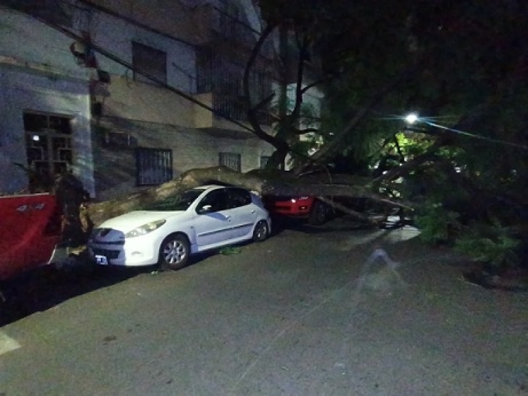 La fuerte tormenta dejó árboles caídos y autos dañados en distintas zonas de Rosario