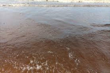 INFOMALDONADO: Agua marrón en playas de Punta del Este: la explicación de la Intendencia