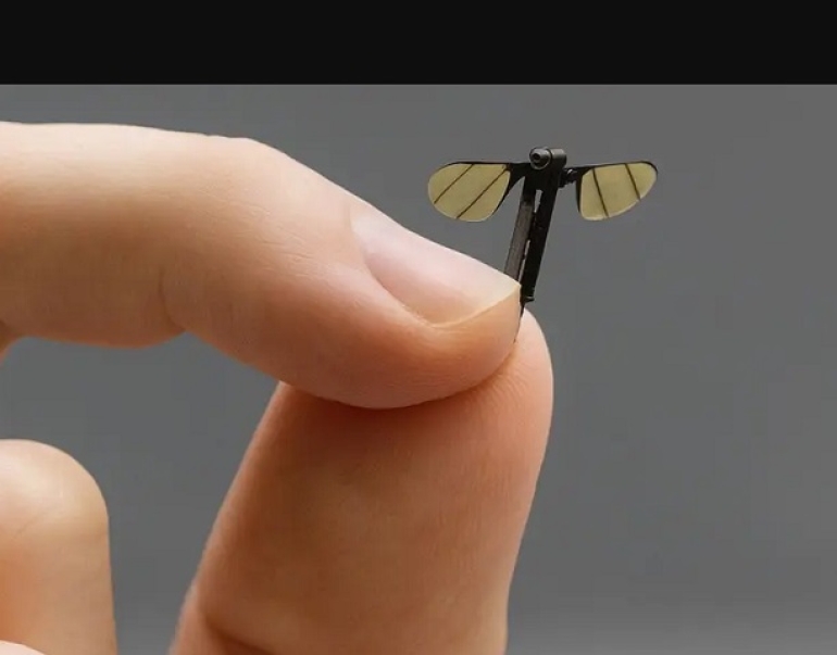 Mosquito espía: El invento de China para misiones encubiertas