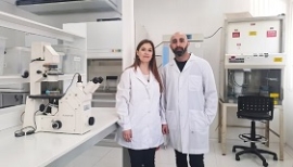 Novedoso método para neutralizar el virus del dengue