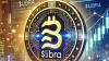 $Libra: &ldquo;No son lo mismo estos proyectos o las memecoin que Bitcoin, Ethereum, Solana u otras cryptomonedas principales&rdquo;