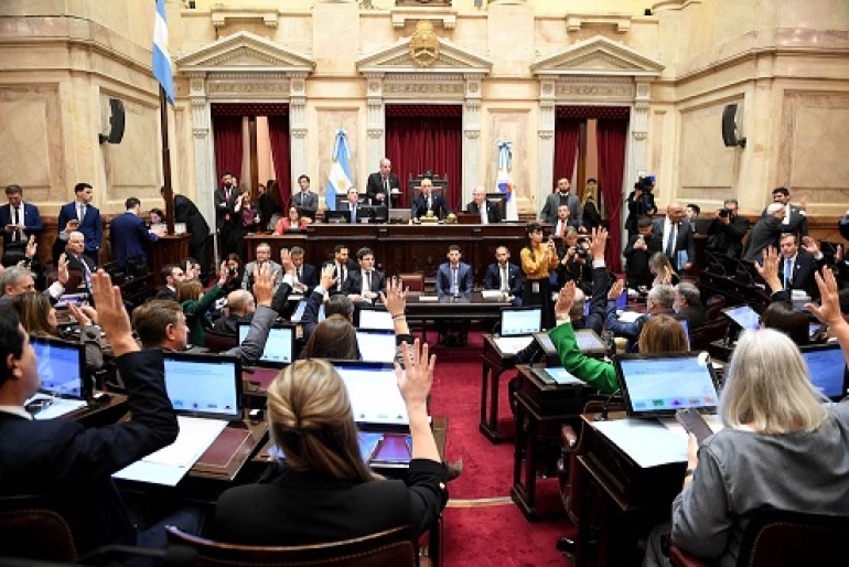 El Senado aprobó en general la ley de la propiedad privada, pero tuvo que retirar un capítulo
