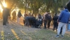 Irreversible: Muerte cerebral del polic&iacute;a que sufri&oacute; brutal ataque en la final de la Liga Ca&ntilde;adense