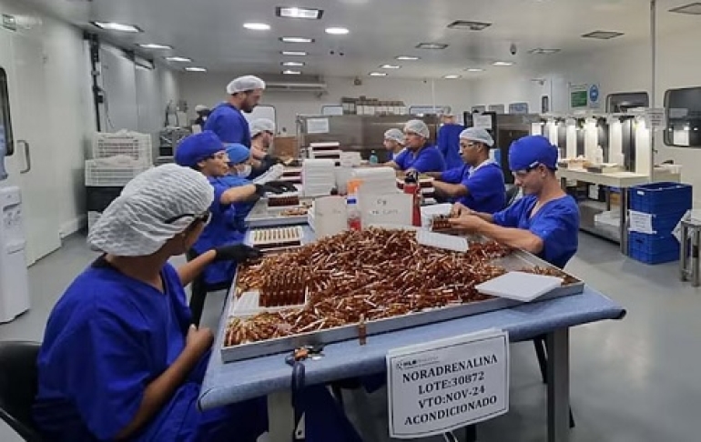 Fentanilo contaminado: Conclusiones de los primeros peritajes del Cuerpo Médico Forense sobre 20 fallecidos