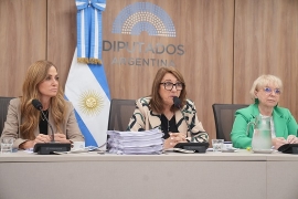 FENTANILO CONTAMINADO: LA COMISIÓN INVESTIGADORA PRESENTÓ INFORME FINAL