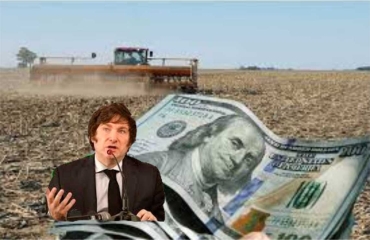 Récord de liquidación: Milei le gana la pulseada al campo y por qué el BCRA no compra un solo dólar