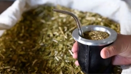 Decreto polémico: Tomar mate podrá salir más caro