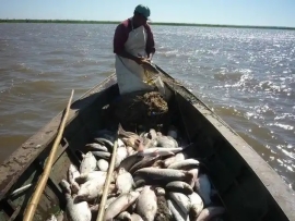 Entre Ríos y Santa Fe acordaron una regulación conjunta para la pesca en el Río Paraná