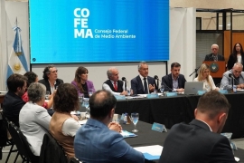 La Subsecretaría de Ambiente de la Nación fue sede de una asamblea del COFEMA para elegir autoridades