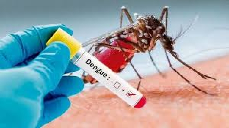 Aumentaron los casos de dengue