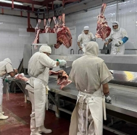 Carne de búfalo: Una opción más económica y saludable