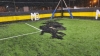 Una molotov en un complejo de f&uacute;tbol